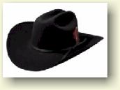 PRCA Roughstock